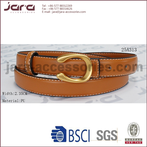 25A313